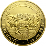 Zlatá investiční mince Slon africký Somálsko 1 Oz 2020