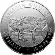 Stříbrná investiční mince Slon africký Somálsko 10 Oz