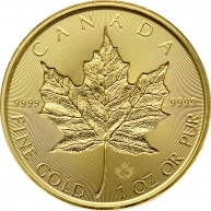 Zlatá investiční mince Maple Leaf 1 Oz  - Incuse 2019
