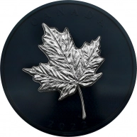 Stříbrná pokovená mince 5 Oz Maple Leaf 2022 Proof