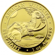 Zlatá investiční mince Slon africký Somálsko 1 Oz 2023