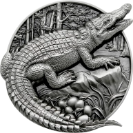 Stříbrná mince 5 Oz Ochrana divočiny - Krokodýl 2023 Antique Standard