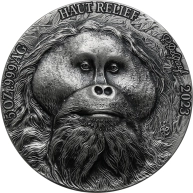 Stříbrná mince 5 Oz Orangutan - Big Five Asia High Relief 2023 Antique Standard