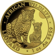 Zlatá investiční mince Leopard Somálsko 1 Oz 2024
