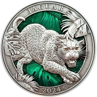 Stříbrná mince 3 Oz Barvy divočiny - Jaguár 2024 Antique Standard