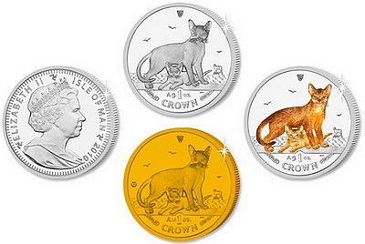 2010_Abyssinian_cat_coins