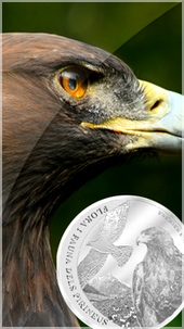 golden_eagle_silver_coin